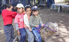 Lonquimay: Niñas y Niños pehuenche disfrutan de las veranadas [FOTOS]