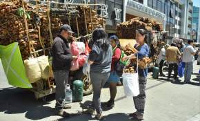 [FOTOS] En masa llegaron temuquenses a comprar cochayuyo pese a prohibición municipal