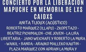 Viernes movido: Primera marcha de 2020 coincide con 12 años de muerte de Matías Catrileo