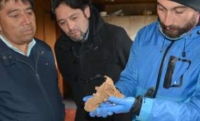 Director de CONADI Biobío y Alcalde de Tirúa visitaron comunidad mapuche que realizó hallazgo arqueológico
