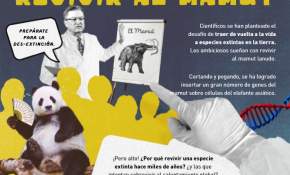 Lanzan novedoso recurso educativo digital para  profesores de todo Chile