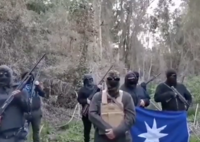 Grupo armado se tomó Reserva Nacional en La Araucanía: se defenderán con armas